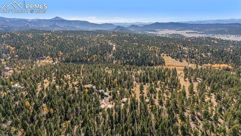 Tiny photo for 247 Pinewood Road, Florissant, CO 80816 (MLS # 9325518)