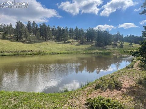 Tiny photo for 247 Pinewood Road, Florissant, CO 80816 (MLS # 9325518)