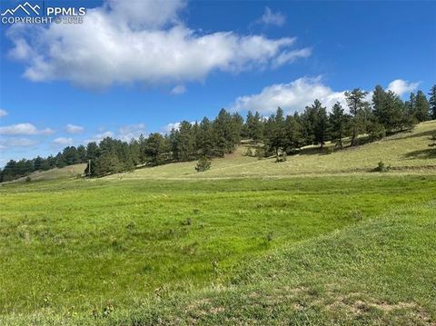 Tiny photo for 247 Pinewood Road, Florissant, CO 80816 (MLS # 9325518)