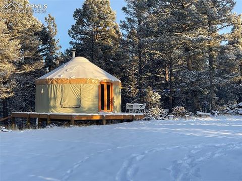 Tiny photo for 247 Pinewood Road, Florissant, CO 80816 (MLS # 9325518)