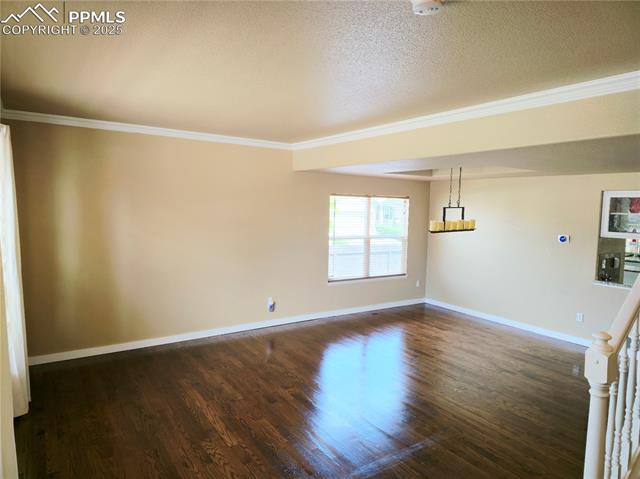 3061 Viero Drive
