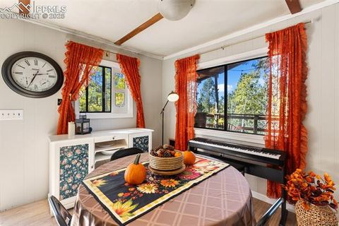 Tiny photo for 679 Calcite Drive, Divide, CO 80814 (MLS # 7625545)