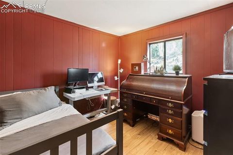 Tiny photo for 679 Calcite Drive, Divide, CO 80814 (MLS # 7625545)