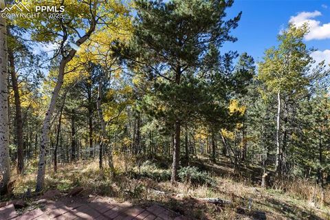 Tiny photo for 679 Calcite Drive, Divide, CO 80814 (MLS # 7625545)