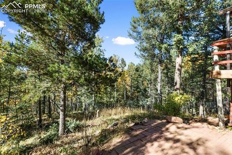 Tiny photo for 679 Calcite Drive, Divide, CO 80814 (MLS # 7625545)