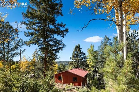 Photo of 679 Calcite Drive, Divide, CO 80814 (MLS # 7625545) Photo of 679 Calcite Drive, Divide, CO 80814 (MLS # 7625545)
