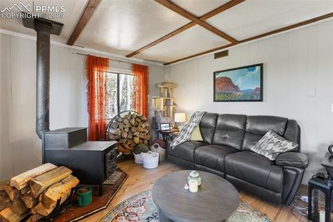 Tiny photo for 679 Calcite Drive, Divide, CO 80814 (MLS # 7625545)