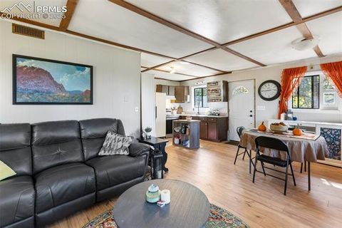 Tiny photo for 679 Calcite Drive, Divide, CO 80814 (MLS # 7625545)