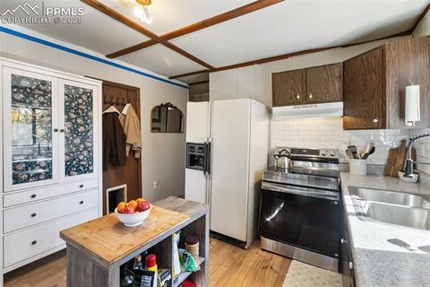 Tiny photo for 679 Calcite Drive, Divide, CO 80814 (MLS # 7625545)