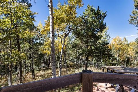 Tiny photo for 679 Calcite Drive, Divide, CO 80814 (MLS # 7625545)