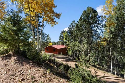 Tiny photo for 679 Calcite Drive, Divide, CO 80814 (MLS # 7625545)