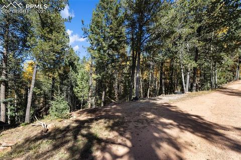 Tiny photo for 679 Calcite Drive, Divide, CO 80814 (MLS # 7625545)
