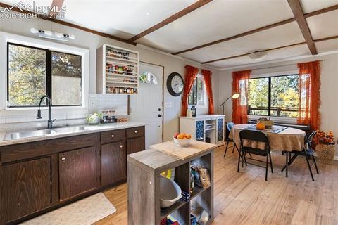 Tiny photo for 679 Calcite Drive, Divide, CO 80814 (MLS # 7625545)