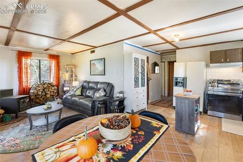 Tiny photo for 679 Calcite Drive, Divide, CO 80814 (MLS # 7625545)