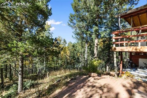 Tiny photo for 679 Calcite Drive, Divide, CO 80814 (MLS # 7625545)