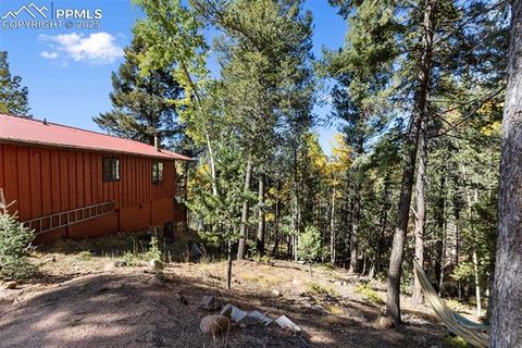 Tiny photo for 679 Calcite Drive, Divide, CO 80814 (MLS # 7625545)