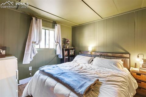 Tiny photo for 679 Calcite Drive, Divide, CO 80814 (MLS # 7625545)