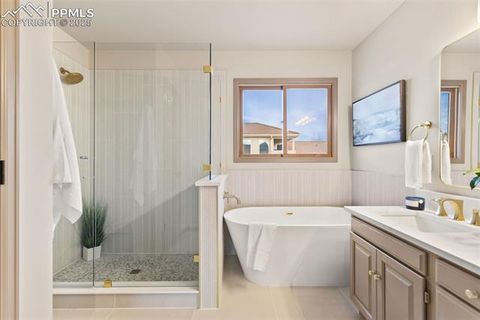 Tiny photo for 174 Luxury Lane, Colorado Springs, CO 80921 (MLS # 7771781)