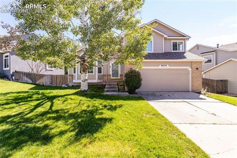 Photo of 9075 Bellcove Circle, Colorado Springs, CO 80920 (MLS # 7627747)