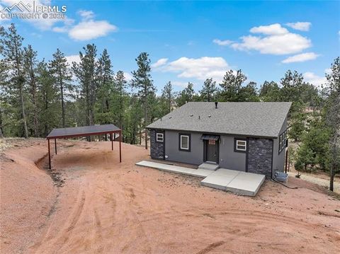 Photo of 1328 N Mountain Estates Road, Florissant, CO 80816 (MLS # 4033264)