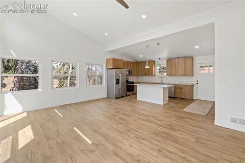 Tiny photo for 1328 N Mountain Estates Road, Florissant, CO 80816 (MLS # 4033264)