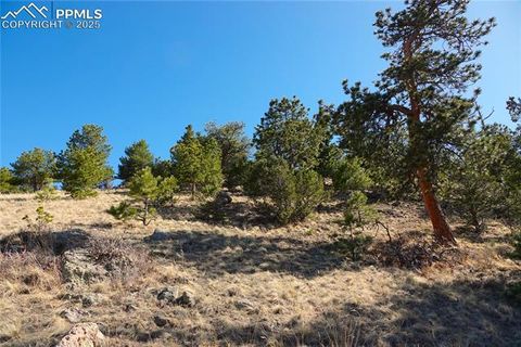 County Road 5, Lot 1 Canon City CO 81212