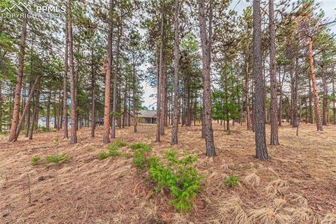 Photo of 1290 Firestone Drive, Woodland Park, CO 80863 (MLS # 3739281)