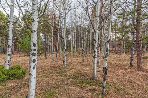 Photo of 1290 Firestone Drive, Woodland Park, CO 80863 (MLS # 3739281) Photo of 1290 Firestone Drive, Woodland Park, CO 80863 (MLS # 3739281)