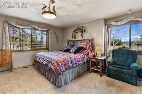 Tiny photo for 940 E Kelleys Road, Woodland Park, CO 80863 (MLS # 1563001)