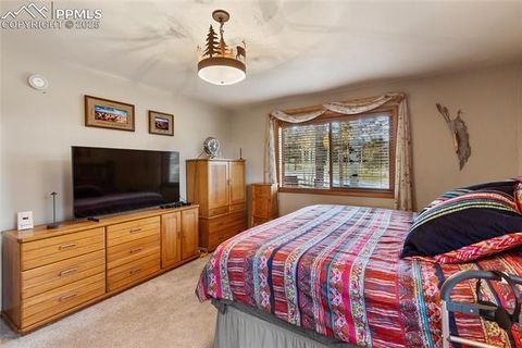 Tiny photo for 940 E Kelleys Road, Woodland Park, CO 80863 (MLS # 1563001)