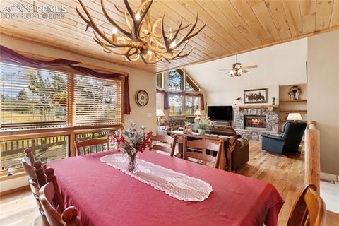 Tiny photo for 940 E Kelleys Road, Woodland Park, CO 80863 (MLS # 1563001)