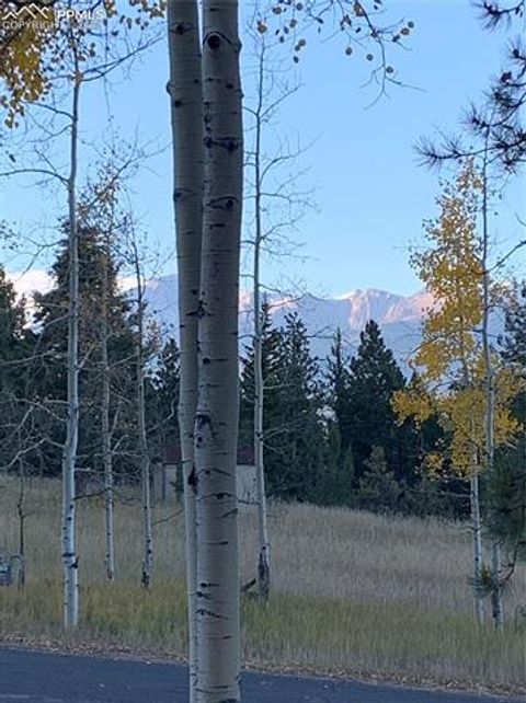 Tiny photo for 940 E Kelleys Road, Woodland Park, CO 80863 (MLS # 1563001)