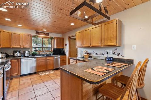 Tiny photo for 940 E Kelleys Road, Woodland Park, CO 80863 (MLS # 1563001)