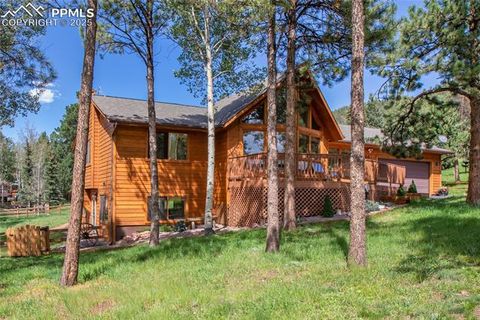 Tiny photo for 940 E Kelleys Road, Woodland Park, CO 80863 (MLS # 1563001)