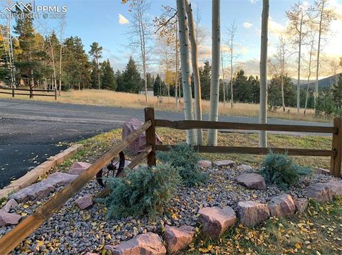 Tiny photo for 940 E Kelleys Road, Woodland Park, CO 80863 (MLS # 1563001)