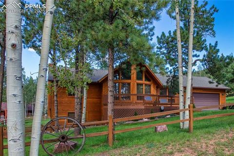 Photo of 940 E Kelleys Road, Woodland Park, CO 80863 (MLS # 1563001)