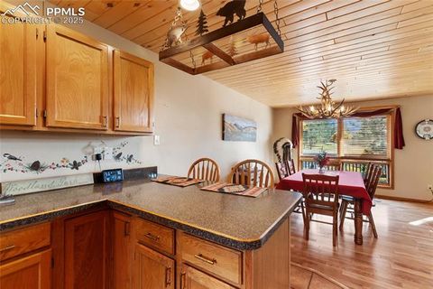 Tiny photo for 940 E Kelleys Road, Woodland Park, CO 80863 (MLS # 1563001)