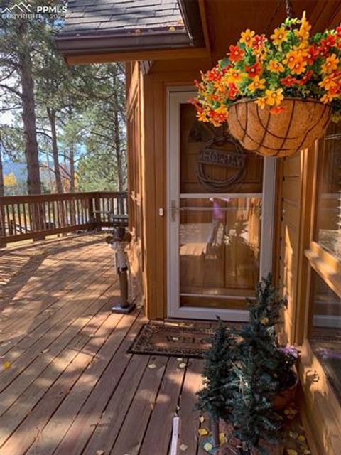 Tiny photo for 940 E Kelleys Road, Woodland Park, CO 80863 (MLS # 1563001)