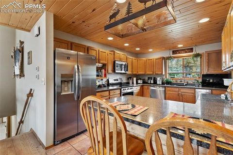 Tiny photo for 940 E Kelleys Road, Woodland Park, CO 80863 (MLS # 1563001)