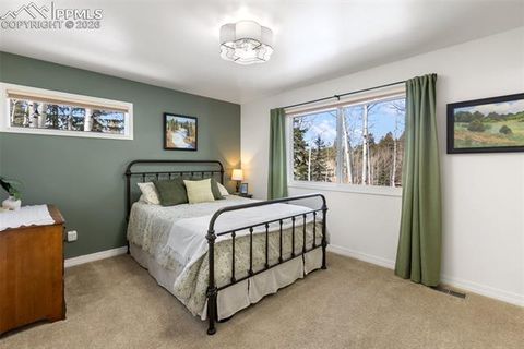 Tiny photo for 2865 Sunnywood Avenue, Woodland Park, CO 80863 (MLS # 4224103)