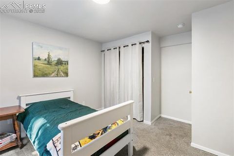 Tiny photo for 2865 Sunnywood Avenue, Woodland Park, CO 80863 (MLS # 4224103)