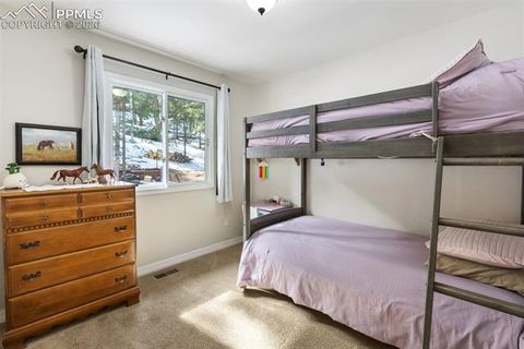 Tiny photo for 2865 Sunnywood Avenue, Woodland Park, CO 80863 (MLS # 4224103)