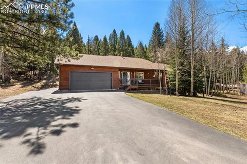 Tiny photo for 2865 Sunnywood Avenue, Woodland Park, CO 80863 (MLS # 4224103)