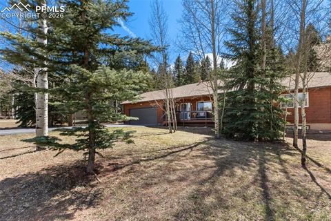 Tiny photo for 2865 Sunnywood Avenue, Woodland Park, CO 80863 (MLS # 4224103)