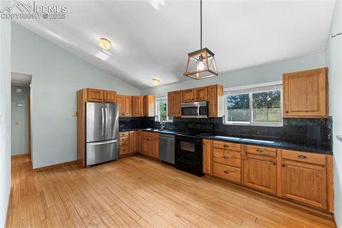 Tiny photo for 50 Holiday Drive, Woodland Park, CO 80863 (MLS # 7862089)