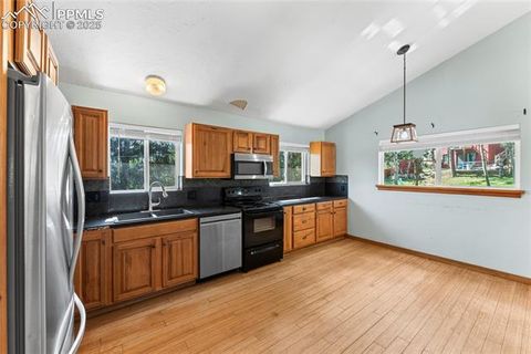 Tiny photo for 50 Holiday Drive, Woodland Park, CO 80863 (MLS # 7862089)