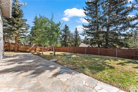 Tiny photo for 50 Holiday Drive, Woodland Park, CO 80863 (MLS # 7862089)