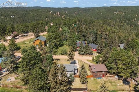 Tiny photo for 50 Holiday Drive, Woodland Park, CO 80863 (MLS # 7862089)