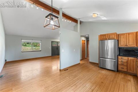 Tiny photo for 50 Holiday Drive, Woodland Park, CO 80863 (MLS # 7862089)