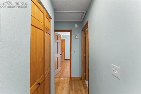 Tiny photo for 50 Holiday Drive, Woodland Park, CO 80863 (MLS # 7862089)